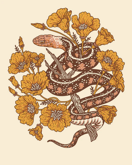 Snake & Poppies