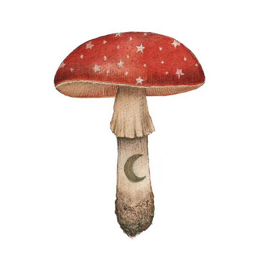 Mineral Mushroom | Ruby