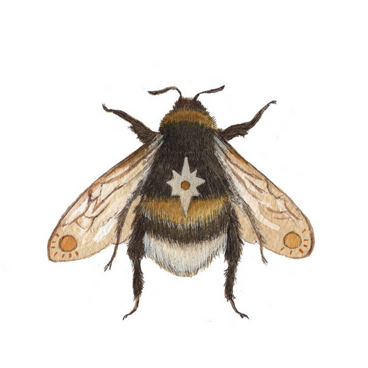 Astral Bee Print