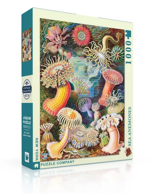 Sea Anemones Puzzle