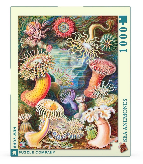 Sea Anemones Puzzle